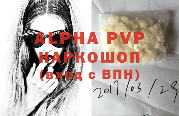 индика Нефтегорск