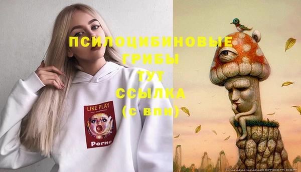 мдпв Наволоки